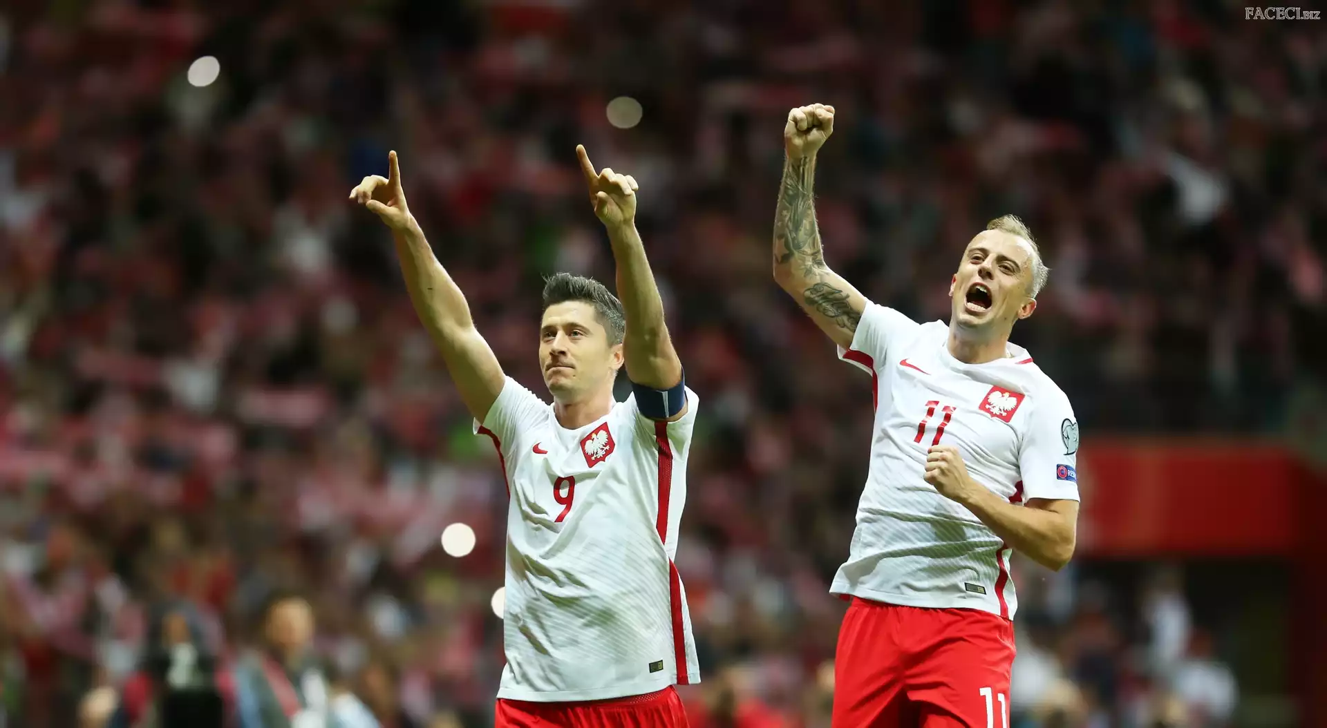 Rosja 2018, Mistrzostwa Świata, Kamil Grosicki, Robert Lewandowski, Piłka nożna, Eliminacje