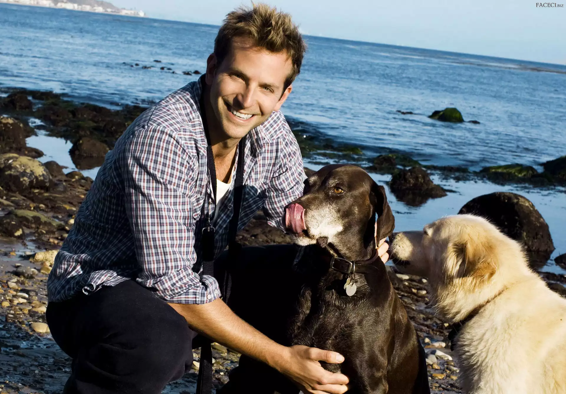 Psy, Bradley Cooper, Morze